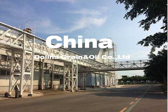 180TPH散裝粕庫(kù)設(shè)備及其棧橋、塔架安裝項(xiàng)目?